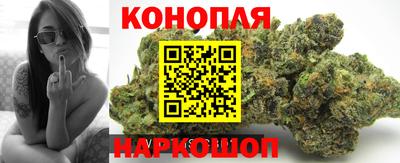 ПСИЛОЦИБИНОВЫЕ ГРИБЫ Аргун