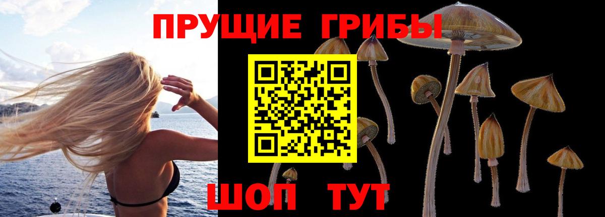 Псилоцибиновые грибы мухоморы  Псилоцибиновые грибы GOLDEN TEACHER  Вход с VPN  Ханты-Мансийск 